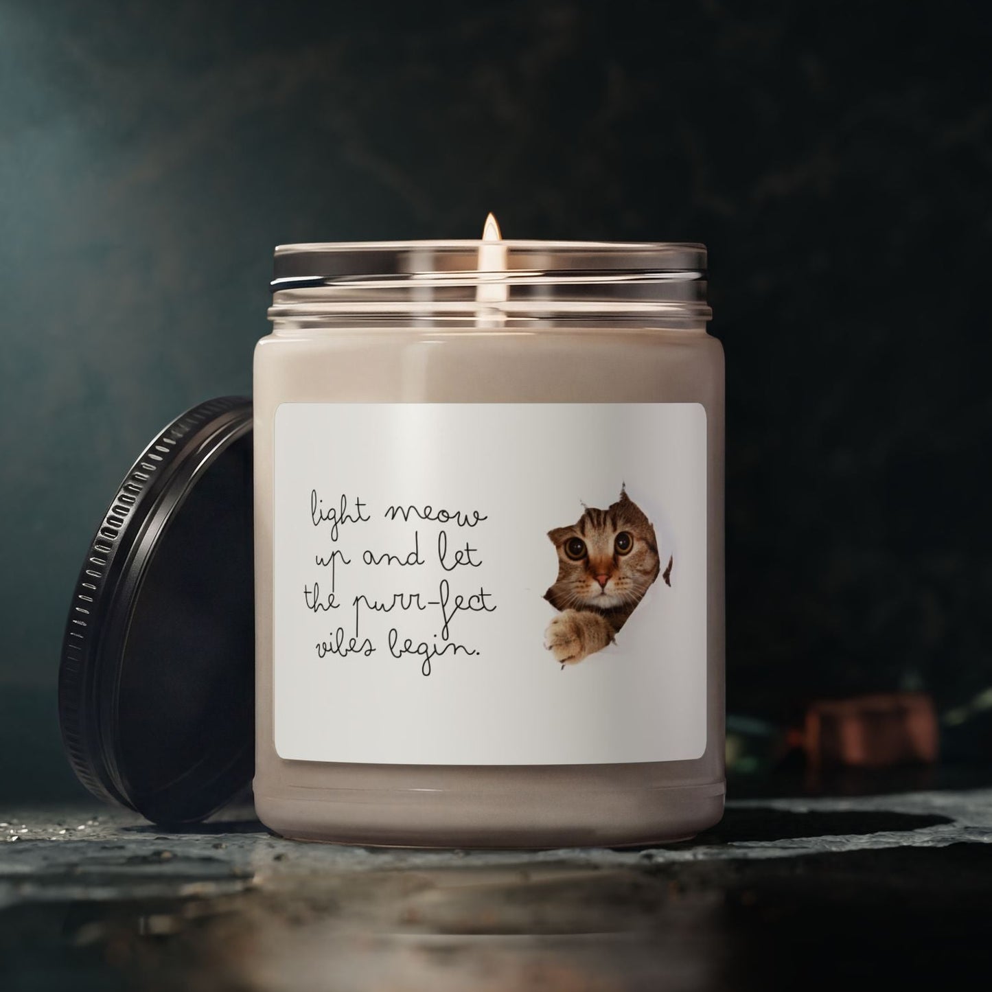 Cat Lover Soy Candle | Funny Cat Gift — "Light Meow Up" 9oz (9 Scents)